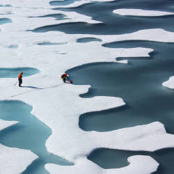Melting ice opens Arctic Ocean to fishing concerns
