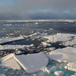Sea ice sinks to record lows at both poles