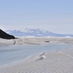 Antarctic Waters Polluted By Plastic Drifting Across Oceans