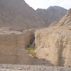 The Wadi Wurayah Fujairah Preserve Is Set Aside By Royal Decree In The United Arab Emirates For The Protection Of The Arabian Tahr.