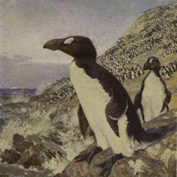These Penguins Multiply Infinitely, Richard Whitbourn