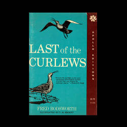The Last Of The Curlews, Charles Bodsworth