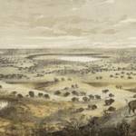 Tens Of Thousands Of Buffalo, W.T. Hornaday