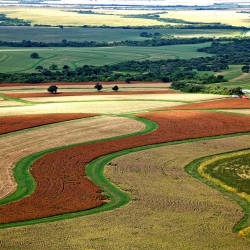 Industrialized Farming Is Overtaking The Pampas, Nicolas Kusnetz