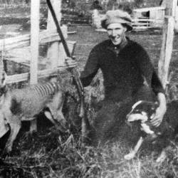 Last documented thylacine kill 