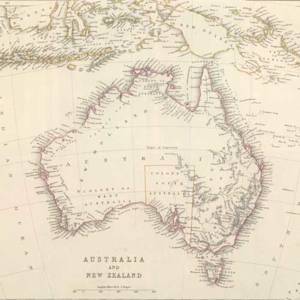 South Australian Spiny-Haired Rat