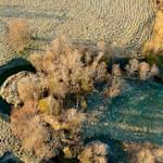 Latvian Floodplain Meadow Restoration