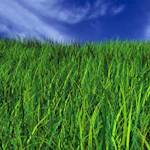 Fields Now A Shopping Centre