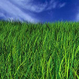 Fields Now A Shopping Centre