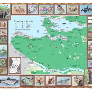 Salmon Forests Of Vancouver