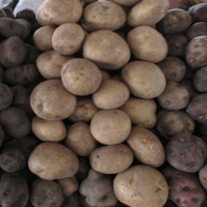 Potatoes