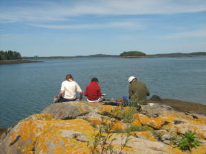 Cobscook Bay Shoreline