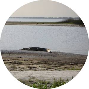 Visiting Okeechobee Lake