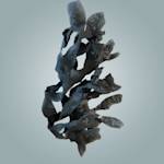 Starfish And Seahorses