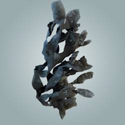 Starfish And Seahorses