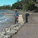 Oyster Reef Building
