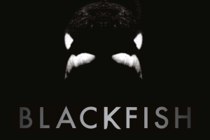 Blackfish