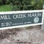 Secaucus Mill Creek Marsh