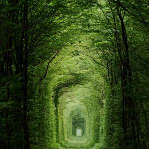 Love Tunnel