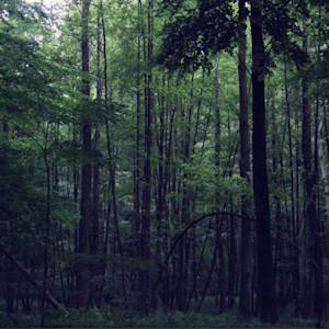 Nothing Lasts Forever.