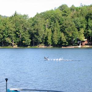 One Step Forward - Or Back.