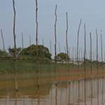 The Water In The Tonlé Sap Lake