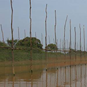 The Water In The Tonlé Sap Lake