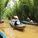 Mangroves