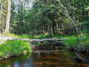 Hartley Nature Center's Contribution To Nature