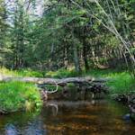 Hartley Nature Center's Contribution To Nature