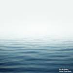 Where Are All The Shallow Water Fish In The Ocean?