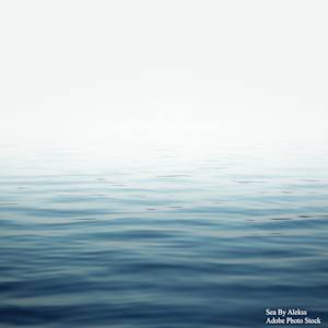 Where Are All The Shallow Water Fish In The Ocean?