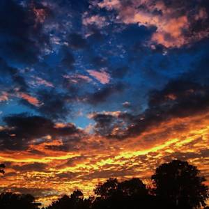 Home: The Purest Form Of Life