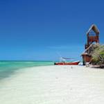 Paradise To Be Disappeared.