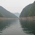 Tigers, Wolves, And Monkeys