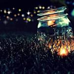 On Fire For Fireflies
