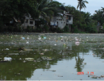 River Pollution In Manila