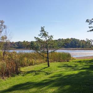 Appreciation For Mendon Ponds Park