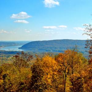 Where Did All The Nature Go?