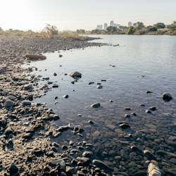 Tama River