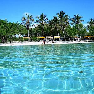 Beauty Inside A Broken Country