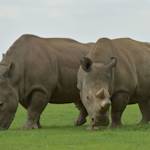 Gone But Never Forgotten