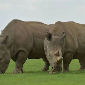 Gone But Never Forgotten