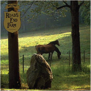 Interacting With Nature