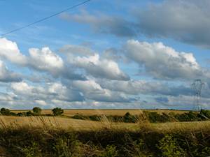 Sprawl Over The Countryside