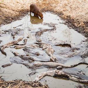 Water You May Not Drink