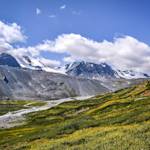 Altai Alpine Meadow and Tundra