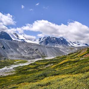 Altai Alpine Meadow and Tundra