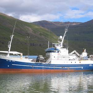 Sustainable fisheries in Iceland