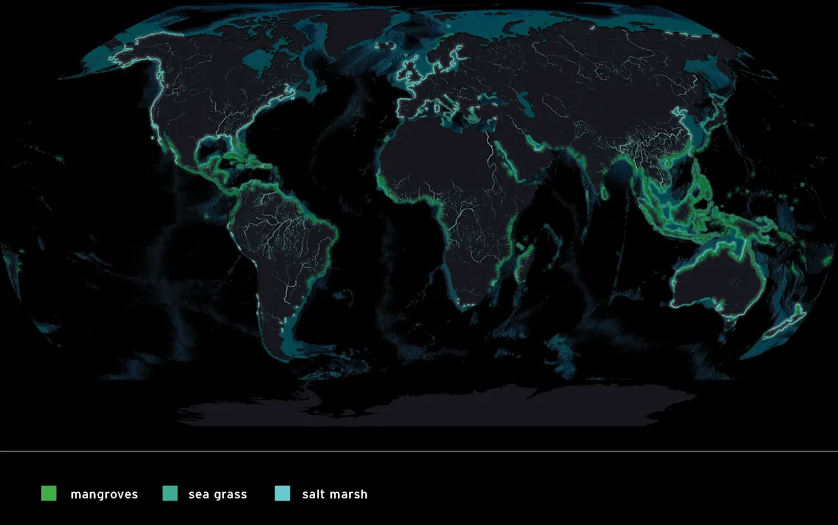 Coastal Wetlands map with key - mangroves, seagrass, saltmarsh